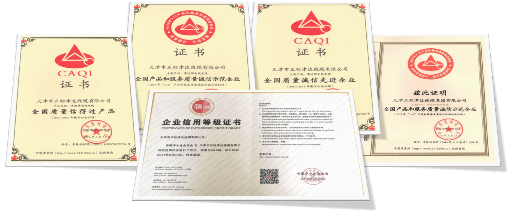 企業(yè)榮譽(yù) 企業(yè)榮譽(yù)